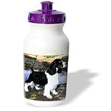 Dogs English Springer Spaniel - Black And White Springer Spaniel - Water Bottles