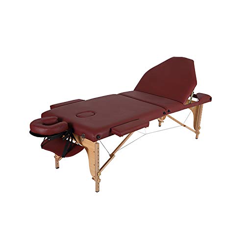 Professional Massage Table 3 Section Portable Bed Beauty Couch