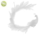 28 Regal Peacock White Fancy Long Tail Bird Christmas Ornament with Clip