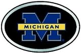 Michigan Wolverines Color Auto Emblem