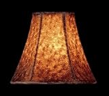Shades Lite Source CH556-6