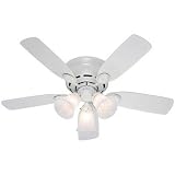 31cyvD8CiIL. SL160 Hunter 21880 Low Profile 42 Inch 5 Blade 3 Light Ceiling Fan, White with Bleached Oak/White Blades and Frosted Glass Shades