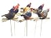 Accent Design Floral and Garden Accents Barnyard Bird Chicken with Nest Pick 2 1/2 Feather, Assorted Natural Color