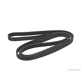 ContiTech Multi Rib Belt by ContiTech