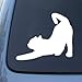 CAT STRETCHING - Vinyl Car Decal Sticker #1497 | Vinyl Color: White