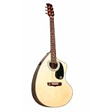 Giannini GWSCRA6 EL Handcrafted Series Steel CraviolaÂ® Guitar