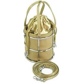 Gold Caged Satin Evening Bag
