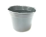 ポリポット　5cm　黒　1000個　ビニールポット