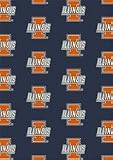 Illinois Fighting Illini 5 4 x 7 8 Team Repeat Area Rug