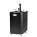 Mini Fridge Kegerator Mini Fridge Kegerator