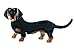 Black & Tan Dachshund Dog Enamel & title=