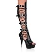 Pleaser Shoes Women&Otilde;s Delight-699, 5 3/4'' Stiletto Heel Platform Sandal, Back Zip W/Buckle