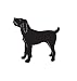 Sport Dog Pet Spinone Italiano Car Truck Vehicle Bumper Helmet Decal Sticker Wall Art Laptop Design Skin Stickers