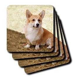 Pembroke Welsh Corgi - Set Of 8 Ceramic Tile Coasters by 3dRose LLC
