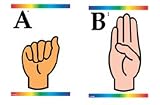FRANK SCHAFFER PUBLICATIONS LEARNING CARDS SIGN LANGUAGE &LEARNING CARDS SIGN LANGUAGE &