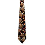 Thanksgiving TIES Turkeys Neckties