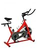 Sunny SF-B1001 Indoor Cycling Bike