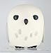 HARRY POTTER Hedwig PVC Bank