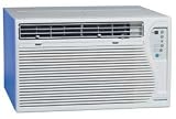 Review AIRWELL-FEDDERS NORTH AMERICA INC  / Fedders 13500 Btu Through The Wall Air Conditioner