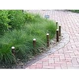 Smart Solar SS3424WRM6 Sentinella set of 6 copper finshed PIR bollard lights