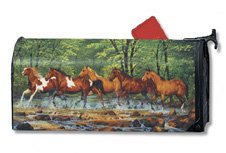 Spring Creek Run Mailwrap (Standard Size)