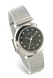 Skagen Women's Stainless Steel Mesh Watch #107SSSBD