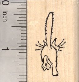 Cat Butt Rubber Stamp, Tail end of a cat