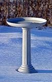 Allied Precision Kozy Bird Bath with Pedestal