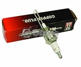 Champion Spark Plug DESA/PP211 (CHAMP 220)
