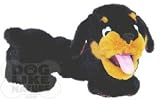 Bungee Rottweiler - Junior