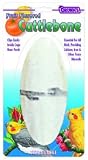 FM Browns Citrus Flavored Cuttlebone Extra Large Carded