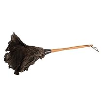 Feather Duster, Wood Handle EXP74615