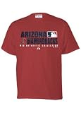 Arizona Diamondbacks Team Pride Big and Tall tee