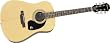 Epiphone DR-100 Acoustic Guitar, Natural