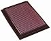 K&N Filters 332187 Air Filter