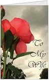 Anniversary Love Romantic Rose Wife Greeting Card by QuickieCards. Always Fast & FREE Shipping