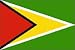 Guyana Flag Polyester 2 ft. x 3 ft.