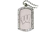 University of Wisconsin Badgers Dog Tag Necklace