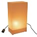 Electric Luminaria Kit - Tan/ Kraft (10 ct)