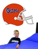Florida Gators 3D Football Helmet Art - NCAA College Athletics