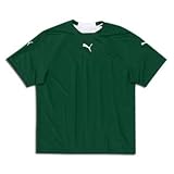 Puma v5.06 USA Soccer Jersey (Green/Wht)