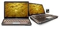 HP Pavilion DV3-1075US 13.3-Inch Laptop (2.10 GHz AMD Turion X2 RM-72 Dual-Core Processor, 4 GB RAM, 320 GB Hard Drive, DVD Drive, Vista Premium) Bronze/Chrome