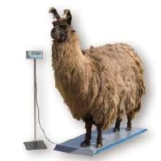 Salter Brecknell PS1000 Veterinary 1000lb Scale