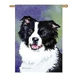Border Collie Banner