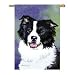 Border Collie Banner