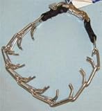 Stachelwürger Halsband