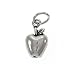 Sterling Silver Charm Apple 12mm -Teachers-Health-Bella's Bracelet