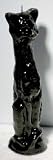 Black Cat Hoodoo Spell Candle (Remove Bad Luck/Jinxes)