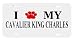 Cavalier King Charles Paw Love Dog Vanity Auto License Plate