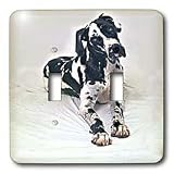 Dogs Great Dane - Great Dane - Light Switch Covers - double toggle switch